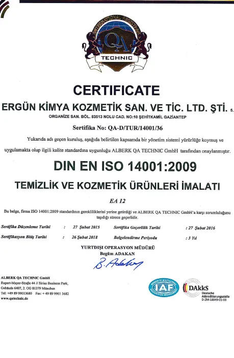 DIN EN ISO 14001:2009